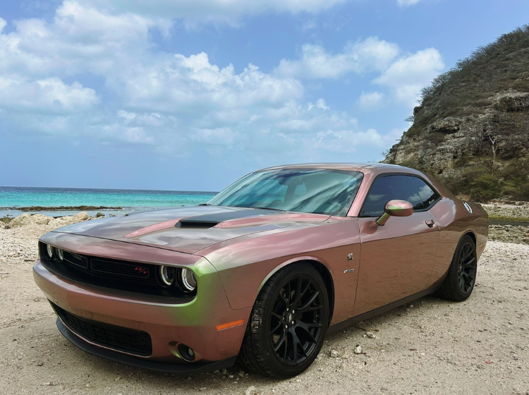 Genius_Wraping_Services